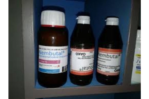 buy-nembutal-pentobarbital-sodium-call-dr-anna-now-0633658233_1_gallery.jpg