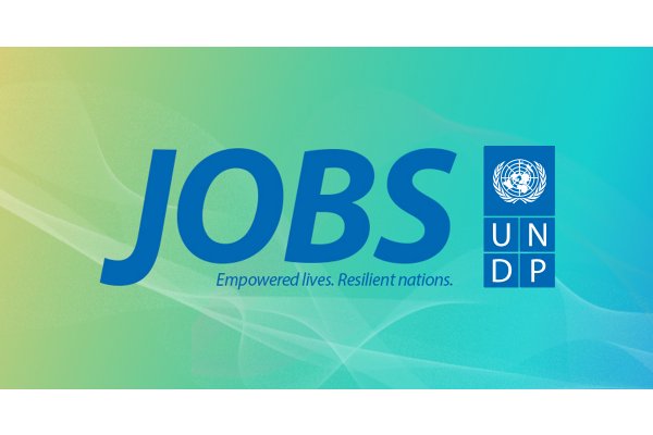 undp-jobs-logo_gallery.jpg