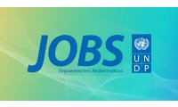 undp-jobs-logo_list.jpg