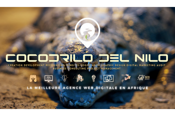 agence-web-digitale-cocodrilo-del-nilo-creation-de-site-web-logo-e-commerce-sur-mesure-marketing-social_gallery.png