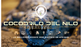 agence-web-digitale-cocodrilo-del-nilo-creation-de-site-web-logo-e-commerce-sur-mesure-marketing-social_grid.png