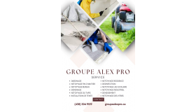 groupe-alex-pro-service_grid.png