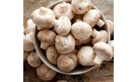 health-benefits-of-mushrooms-guide-700-350-349bded_list.jpg