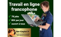 Travail_en_ligne_francophone_chez_Net-Emploi.fr_list.jpg